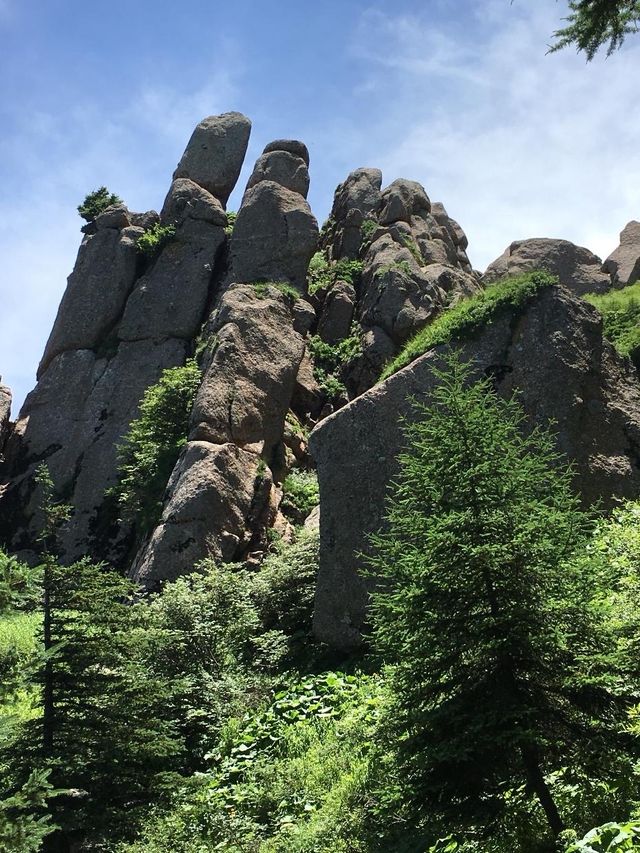 一個小眾且美好的地方——蘆芽山！