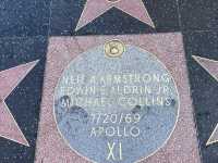 🌟 Hollywood Dreams in LA! 🌴