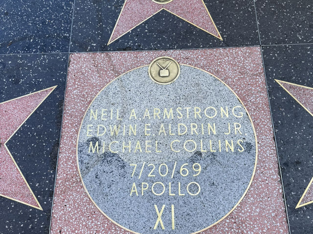 🌟 Hollywood Dreams in LA! 🌴