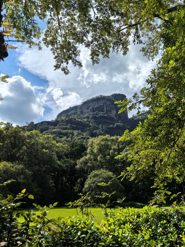 武夷山帶狗帶BB嘅躺平式旅遊 武夷山帶狗帶BB嘅躺平式旅遊