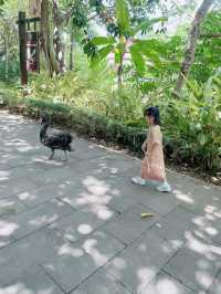 西雙版納親子遊的隱藏玩法，一篇講明白！看完再去