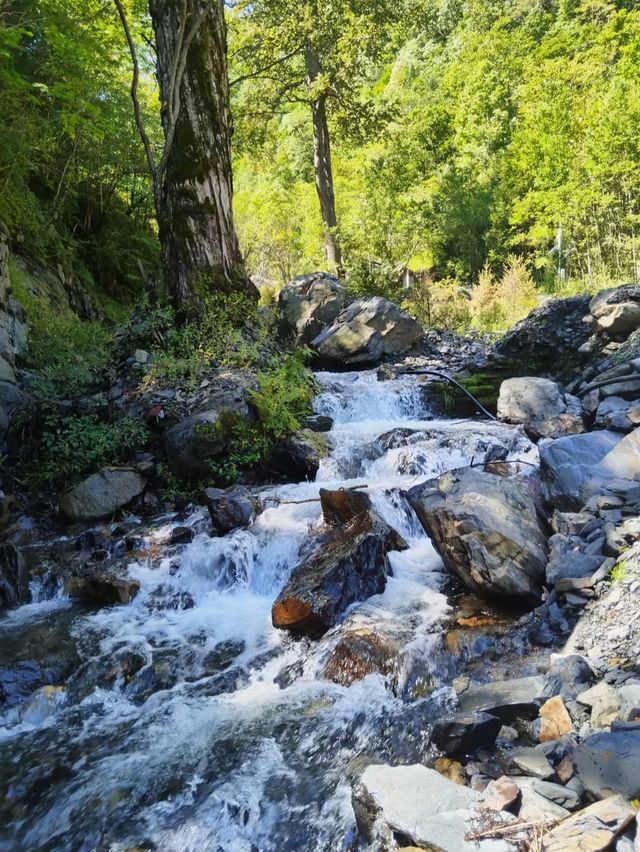 黑龍江五常鳳凰山旅行 黑龍江五常鳳凰山旅行