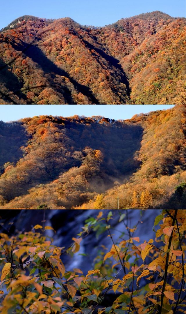 湖北神農架+三峽彩林賞秋自駕攻略