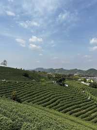Anji 3 Days Travel Guide
