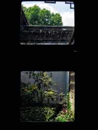 紹興魯迅故居｜中式美學巔峰之作 每一幀都是江南韻味！