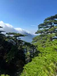 黃山之美，人間值得 這份攻略趕緊碼住！