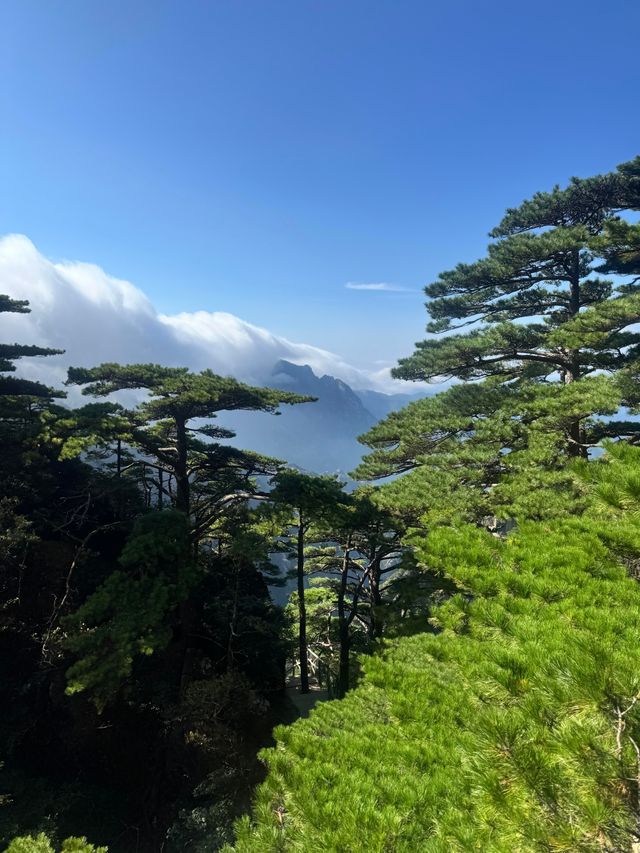 黃山之美，人間值得 這份攻略趕緊碼住！