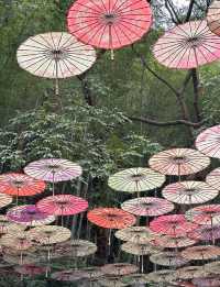 中式園林賞花記