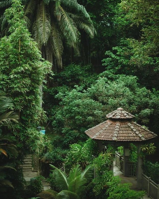 吉隆坡私藏！免費殖民風植物園+1h車程森林民宿，打工人週末躺