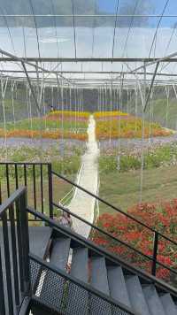 Garden Delights at Flora Park