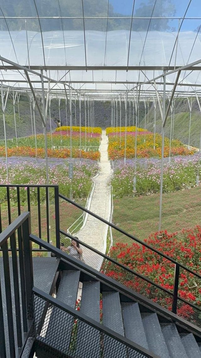 Garden Delights at Flora Park