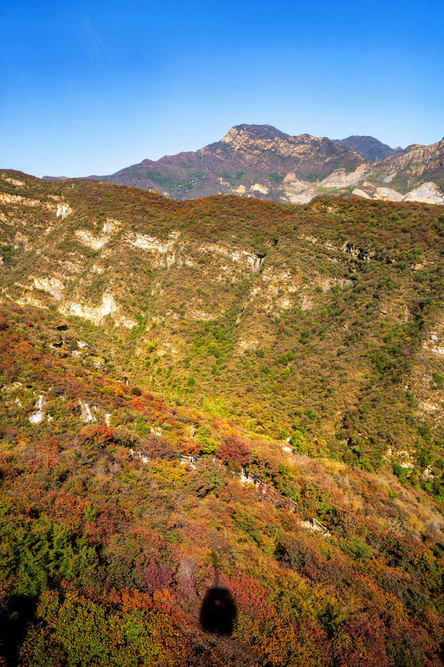 坡峰嶺反向操作賞秋攻略人少景美有貓撸
