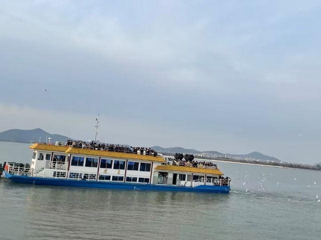 蘇州太湖賞鷗攻略｜絕美日落與萬鷗齊飛，美到窒息！