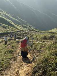 人生建議:秋天一定要衝惠州大南山蘆葦蕩!