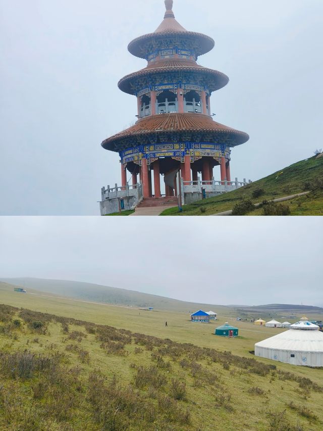 探秘甘肅省隴南狼渡濕地草原,自然之美令人陶醉! 探秘甘肅省隴南狼渡濕地草原,自然之美令人陶醉!