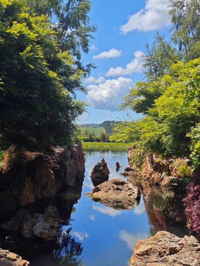 藍山腳下的秘密花園梅菲爾德絕美打卡攻略