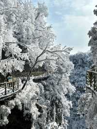 這裡不是阿凡達，是地球上的張家界！