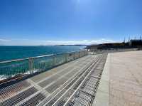 大海旁一雙會說話的眼睛✨鹽田棧道海景打卡神地🌊