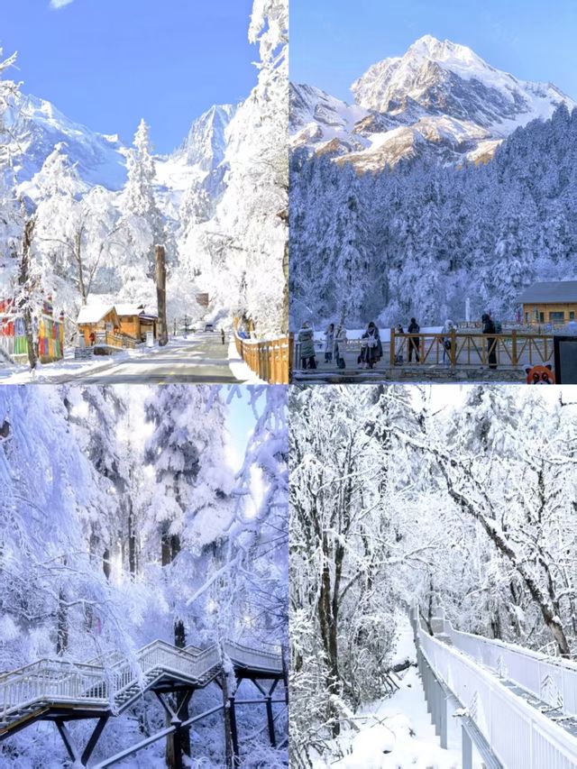 來海螺溝冰川,開啟一場冰火交融的夢幻旅行 來海螺溝冰川,開啟一場冰火交融的夢幻旅行