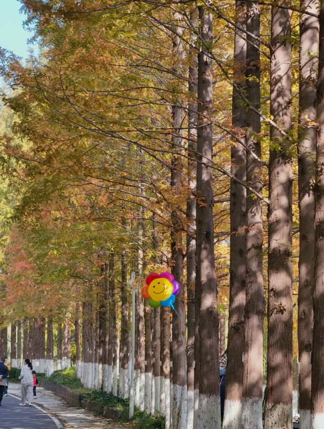 瀋陽世博園秋日漫遊｜治癒系吸氧之旅
