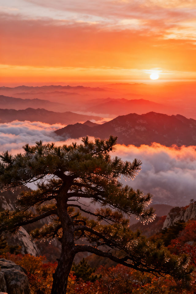 秋遊必看濟南-泰安-濟寧這樣玩才爽