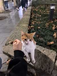 華政校址，原來那麼有歷史！