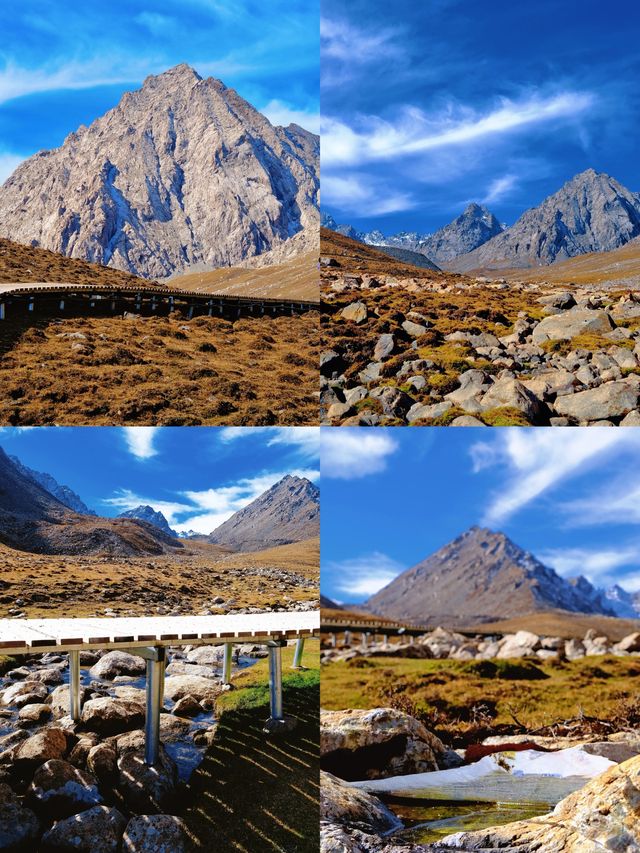 冰溝河秋色太絕了