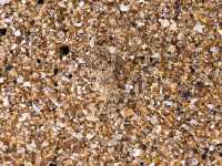 秋日漫步海水不藍的南麂島