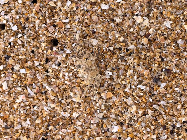 秋日漫步海水不藍的南麂島