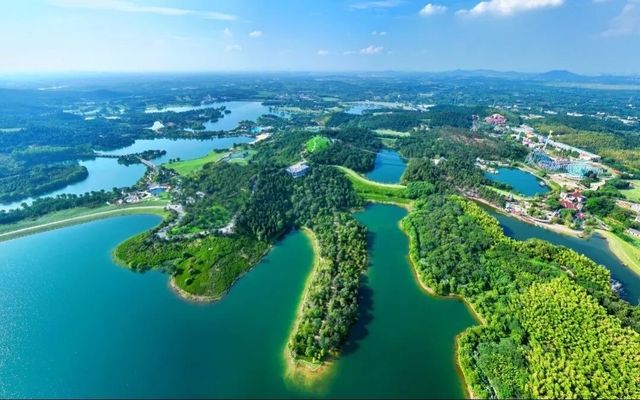 歡迎來銀杏湖遊玩