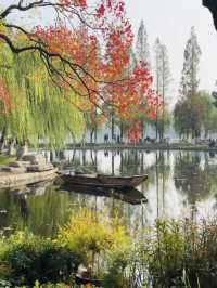 近期來南京的有福啦！