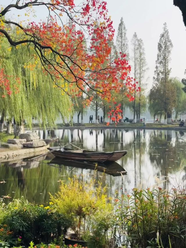 近期來南京的有福啦！