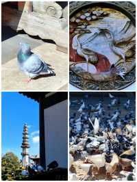 真如寺的銀杏還要等等,美味齋飯卻不用等