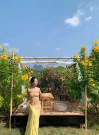 你一句甲天下,我便到了真陽朔