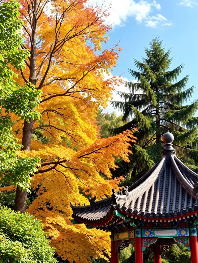 北京二環私藏賞秋地