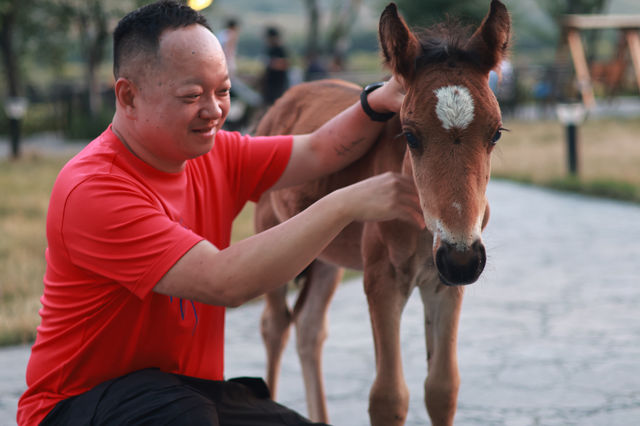 那拉提浪漫民宿指南奢境民俗小木屋體驗