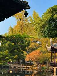 我以為蘇州的秋天夠美了，直到我來了無錫！