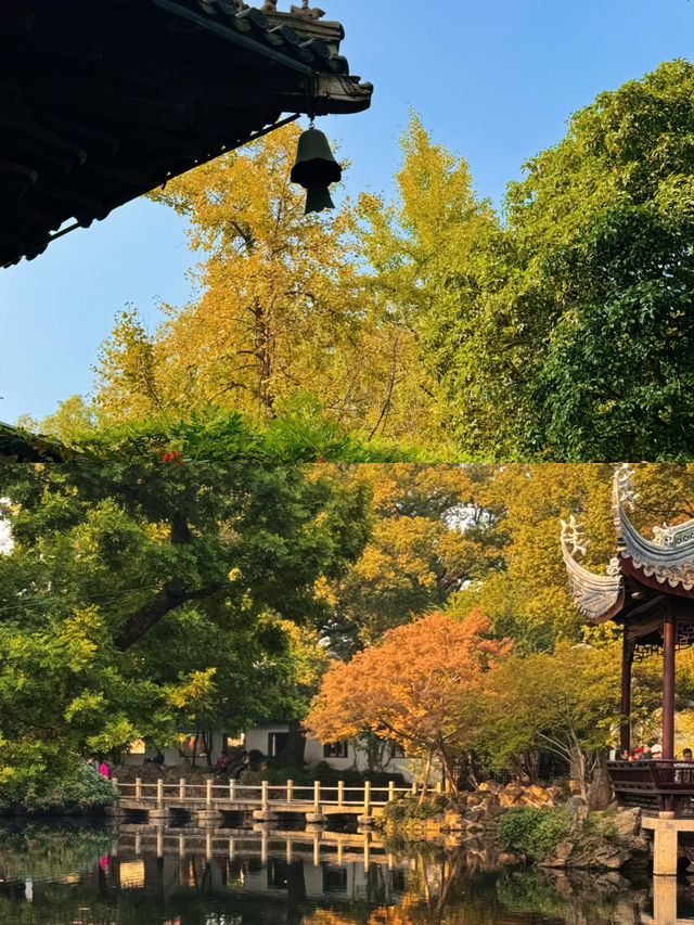 我以為蘇州的秋天夠美了，直到我來了無錫！