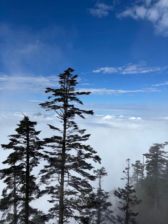 瓦屋山秋冬逃票攻略！免費期衝啊 