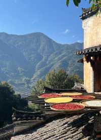 婺源篁嶺曬秋絕絕子手機拍到斷電哭著求饒