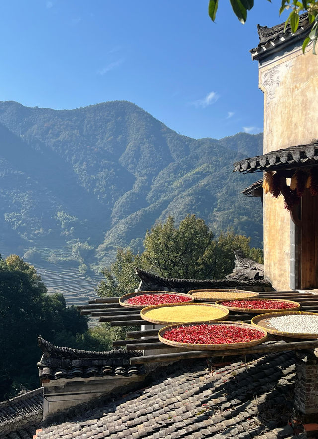 婺源篁嶺曬秋絕絕子手機拍到斷電哭著求饒