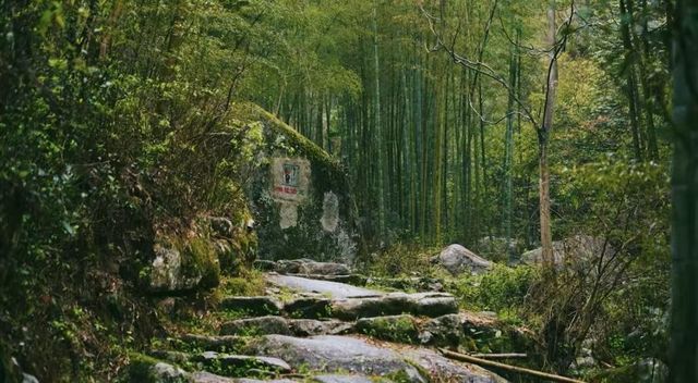 打卡舜皇山絕美四季|秋日限定彩林 & 冬季童話雲海 打卡舜皇山絕美四季|秋日限定彩林 & 冬季童話雲海