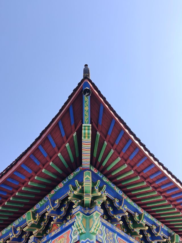 挖到一條寶藏秋遊採橘子路線！