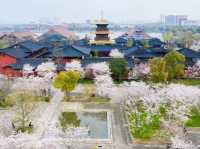 松江千年古韻旅行攻略