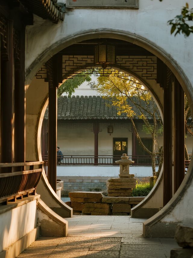 泰州親子遛娃｜免費景點打卡攻略12.31前衝