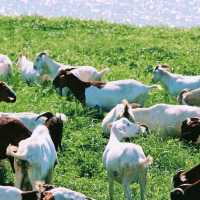 初冬江浙滬徒步指南丨金秋限定美景打卡地全公開！