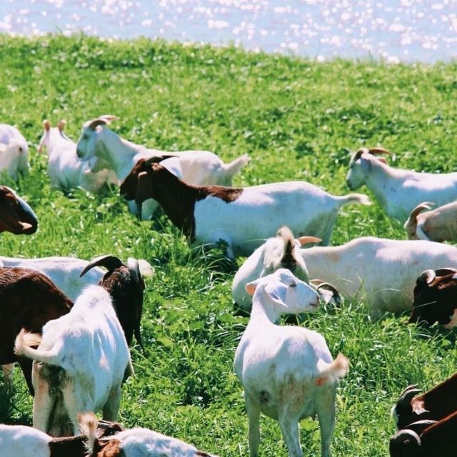 初冬江浙滬徒步指南丨金秋限定美景打卡地全公開！