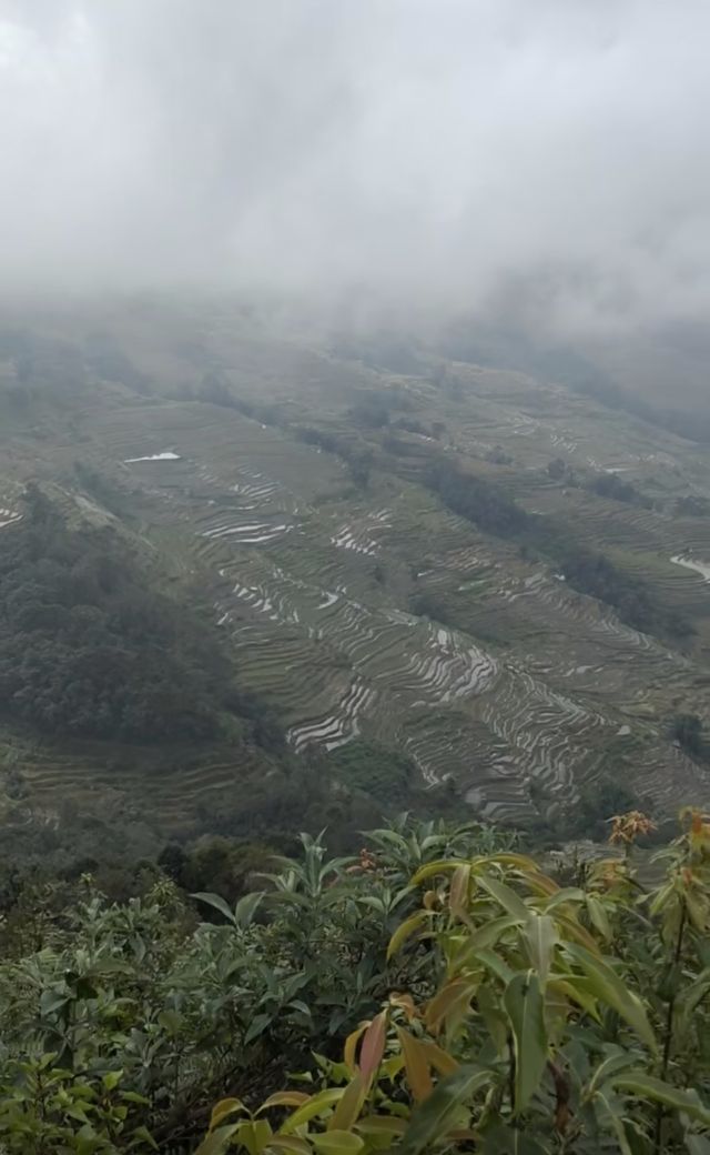 暴走哀牢山 元陽梯田2天1晚週末暴走攻略 暴走哀牢山 元陽梯田2天1晚週末暴走攻略