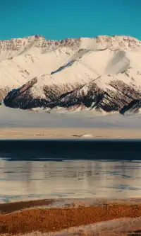 伊犁冬季遊|賽里木湖-庫爾德寧路線參考