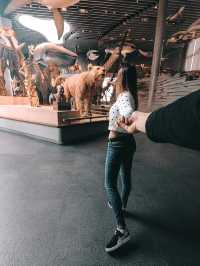 Самый красивый Шанхайский музей природы 🦖🇨🇳